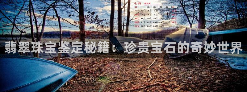 新5宝：翡翠珠宝鉴定秘籍：珍贵宝石的奇妙世界