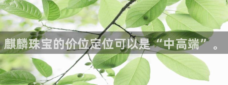 新宝5手机版：麒麟珠宝的价位定位可以是“中高端”。