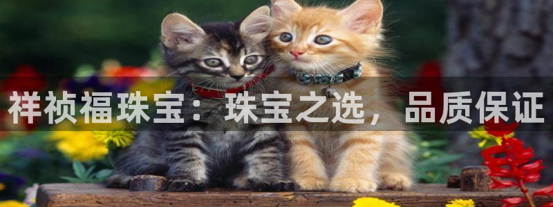 新宝5登录入口网址：祥祯福珠宝：珠宝之选，品质保证