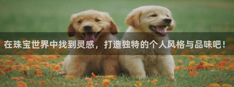 新宝5彩票平台登陆：在珠宝世界中找到灵感，打造独特的个人风格与品味吧！