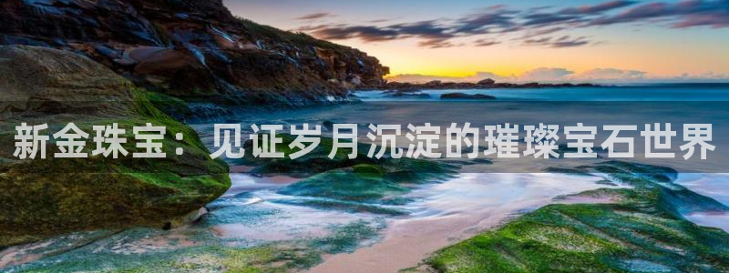 新宝5台卡：新金珠宝：见证岁月沉淀的璀璨宝石世界