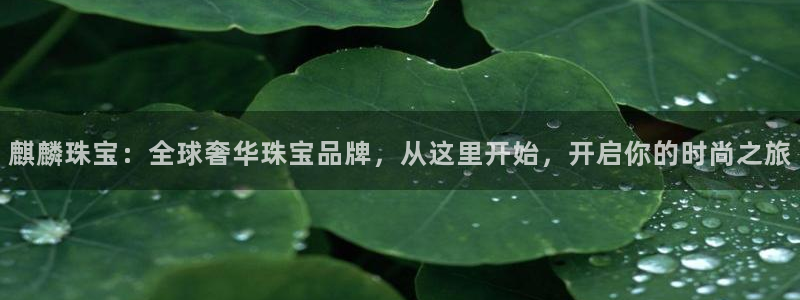 新宝5飞355051：麒麟珠宝：全球奢华珠宝品牌，从这里开始，开启你的时尚之旅