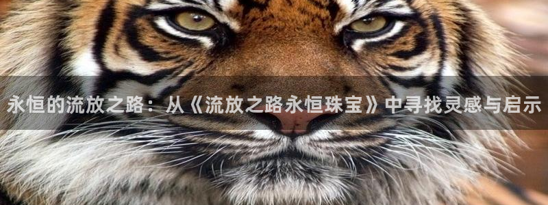 新宝5登录霸：永恒的流放之路：从《流放之路永恒珠宝》中寻找灵感与启示