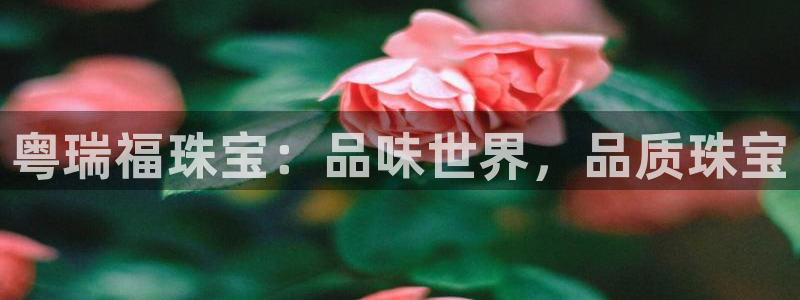 新宝5网站：粤瑞福珠宝：品味世界，品质珠宝