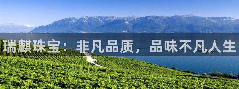 新宝骏rc5W：瑞麒珠宝：非凡品质，品味不凡人生