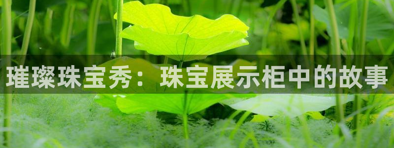 新宝5可靠吗：璀璨珠宝秀：珠宝展示柜中的故事