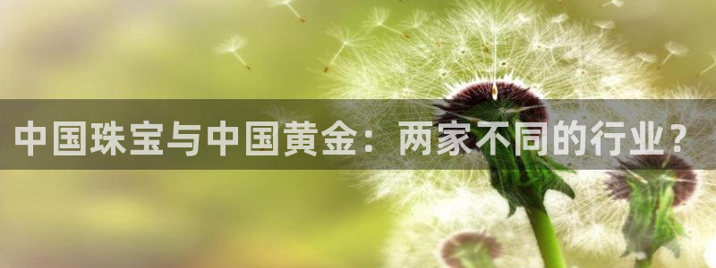 新宝5 代理：中国珠宝与中国黄金：两家不同的行业？
