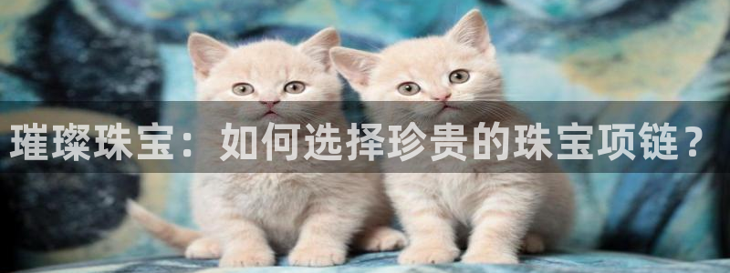 新宝5娱乐招商：璀璨珠宝：如何选择珍贵的珠宝项链？