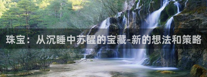 新宝5代理：珠宝：从沉睡中苏醒的宝藏-新的想法和策略