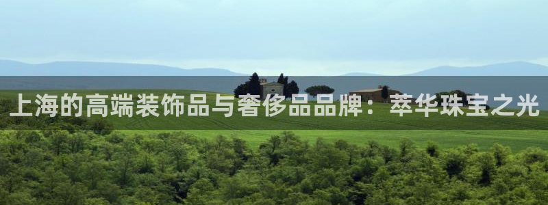 新宝5巅峰：上海的高端装饰品与奢侈品品牌：萃华珠宝之光