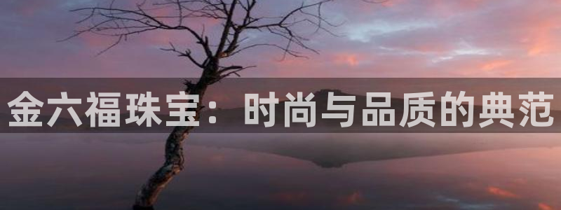 2022新宝骏rs 5：金六福珠宝：时尚与品质的典范
