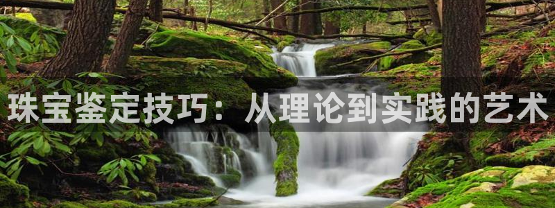 新宝5郑74OOO5：珠宝鉴定技巧：从理论到实践的艺术