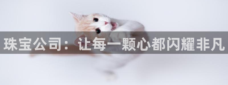 新宝5测速线路：珠宝公司：让每一颗心都闪耀非凡