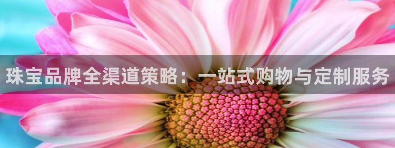 新宝5平台注册资金：珠宝品牌全渠道策略：一站式购物与定制服务