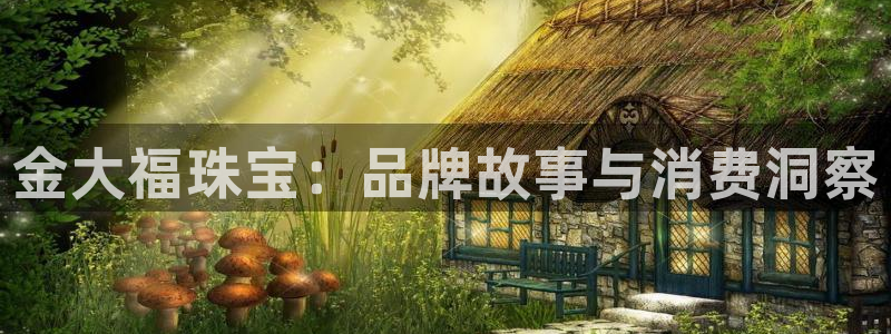 新宝5蒋74OOO5：金大福珠宝：品牌故事与消费洞察