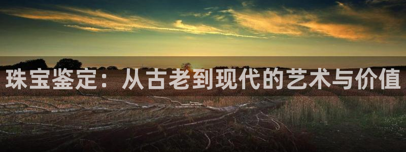 新宝5登录入口网址：珠宝鉴定：从古老到现代的艺术与价值