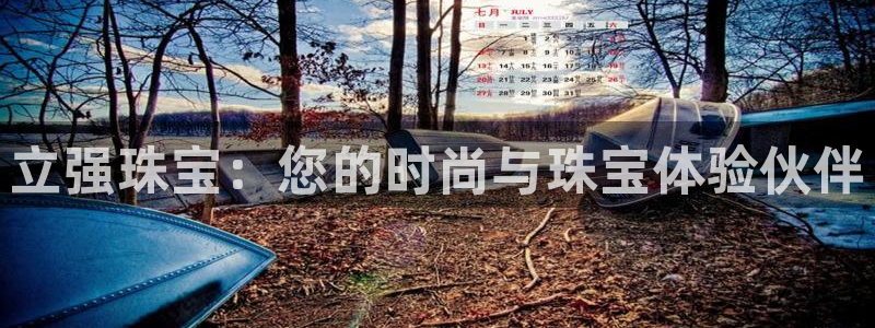 新宝5线路登录检测：立强珠宝：您的时尚与珠宝体验伙伴