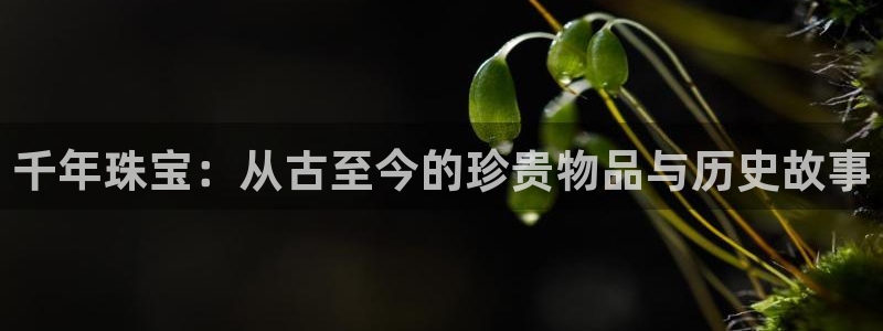 新宝5是谁：千年珠宝：从古至今的珍贵物品与历史故事