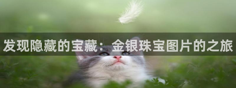 菲律宾新宝5老板：发现隐藏的宝藏：金银珠宝图片的之旅