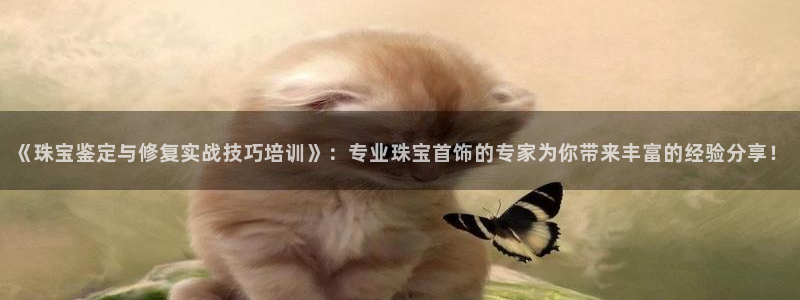 新宝5浗维33 300：《珠宝鉴定与修复实战技巧培训》：专业珠宝首饰的专家为你带