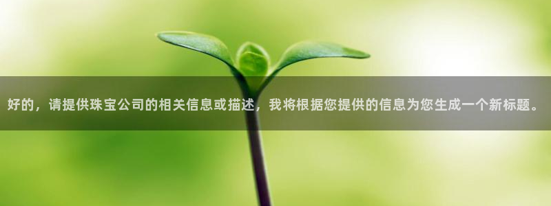 新宝堂新会陈皮5年：好的，请提供珠宝公司的相关信息或描述，我将根据您提供的信息为