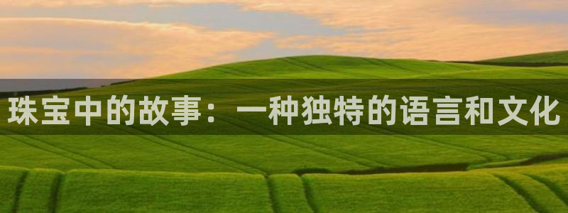 新宝股东张听2 5 5：珠宝中的故事：一种独特的语言和文化