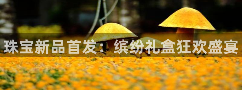 新宝5如何注册：珠宝新品首发：缤纷礼盒狂欢盛宴