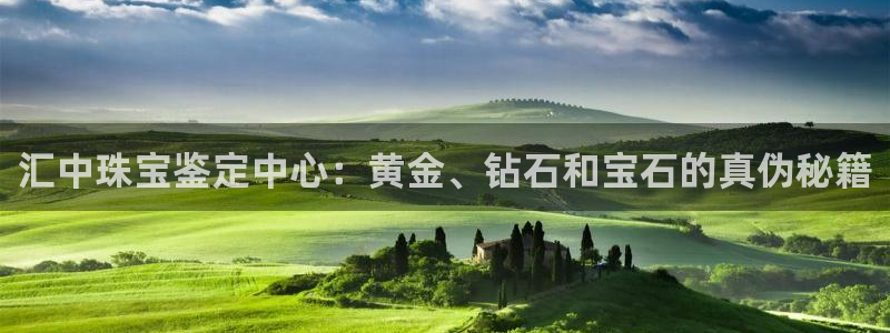 新宝测速5：汇中珠宝鉴定中心：黄金、钻石和宝石的真伪秘籍