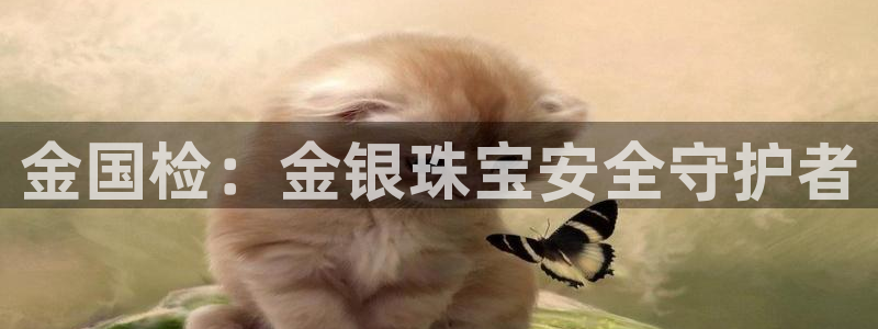 新宝5周74OOO5：金国检：金银珠宝安全守护者