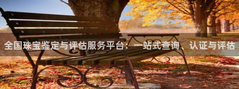 新宝5登录不了：全国珠宝鉴定与评估服务平台：一站式查询、认证与评估