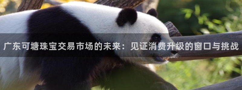 新宝5蒋7O667：广东可塘珠宝交易市场的未来：见证消费升级的窗口与挑战