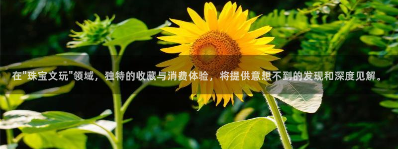 新宝5娱乐登录：在\