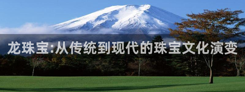 新宝娱乐5：龙珠宝:从传统到现代的珠宝文化演变
