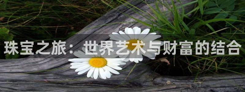 新宝5苹果手机下载：珠宝之旅：世界艺术与财富的结合