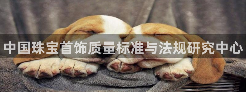 新宝5登录界面：中国珠宝首饰质量标准与法规研究中心