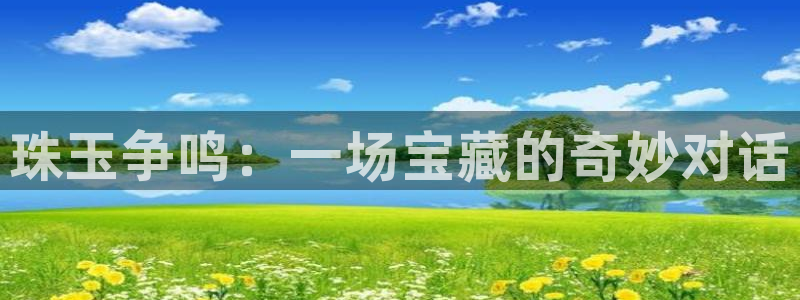 新5宝：珠玉争鸣：一场宝藏的奇妙对话