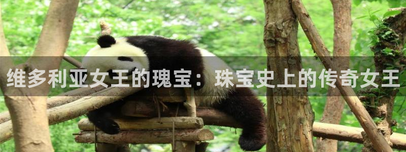 新宝5找找74OOO5：维多利亚女王的瑰宝：珠宝史上的传奇女王