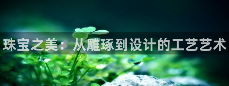 新宝5日740005蔻：珠宝之美：从雕琢到设计的工艺艺术