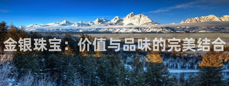 新宝5电脑登录网址：金银珠宝：价值与品味的完美结合