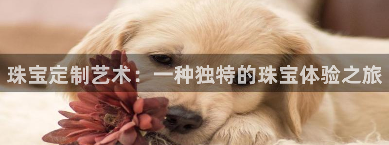 新5宝：珠宝定制艺术：一种独特的珠宝体验之旅