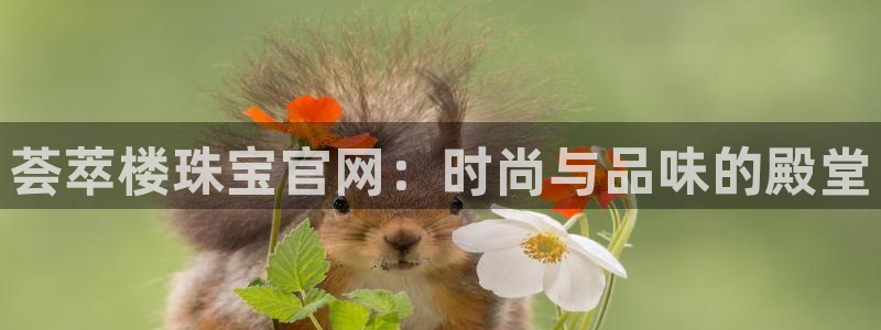 新宝5平台登陆：荟萃楼珠宝官网：时尚与品味的殿堂