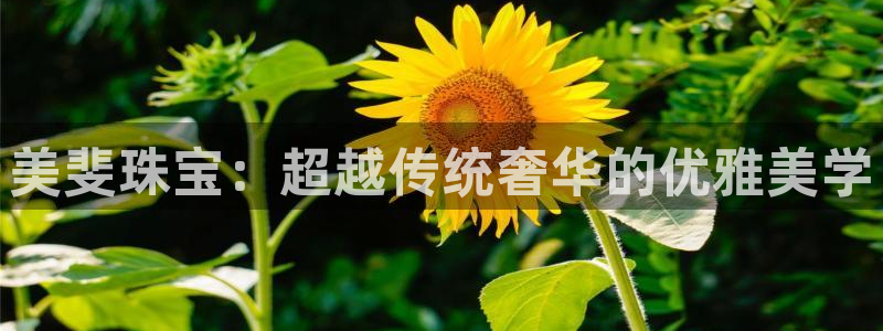 新宝5浗维33 300：美斐珠宝：超越传统奢华的优雅美学