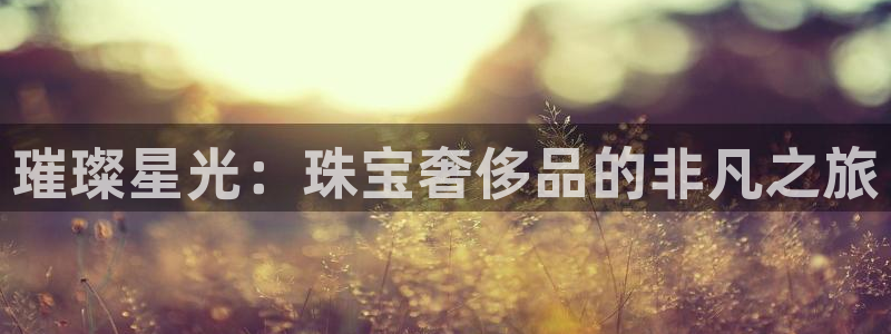 新宝股东张听2 5 5：璀璨星光：珠宝奢侈品的非凡之旅