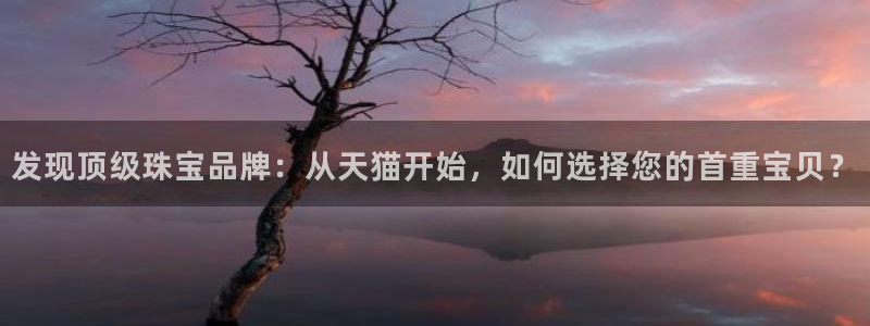 新宝h2O5O5O：发现顶级珠宝品牌：从天猫开始，如何选择您的首重宝贝？