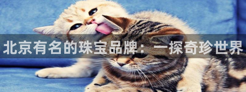 新宝速5：北京有名的珠宝品牌：一探奇珍世界