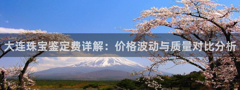 新宝5登录网址：大连珠宝鉴定费详解：价格波动与质量对比分析