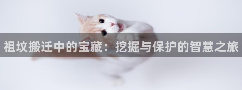 新宝股东瞧听2 5 5：祖坟搬迁中的宝藏：挖掘与保护的智慧之旅