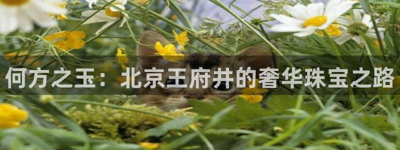 新宝5登录：何方之玉：北京王府井的奢华珠宝之路