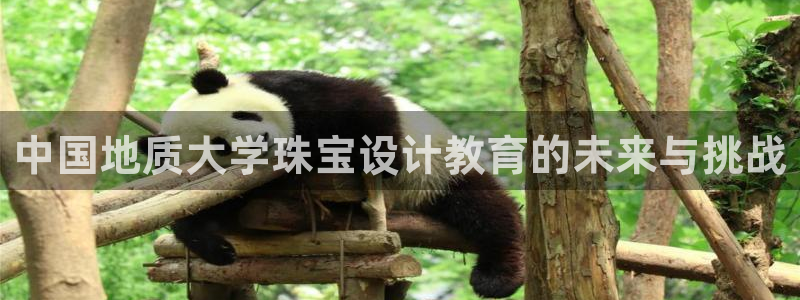 新宝5如何注册：中国地质大学珠宝设计教育的未来与挑战