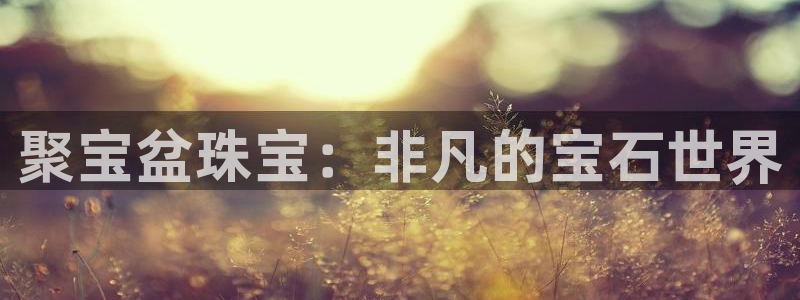 新5宝：聚宝盆珠宝：非凡的宝石世界